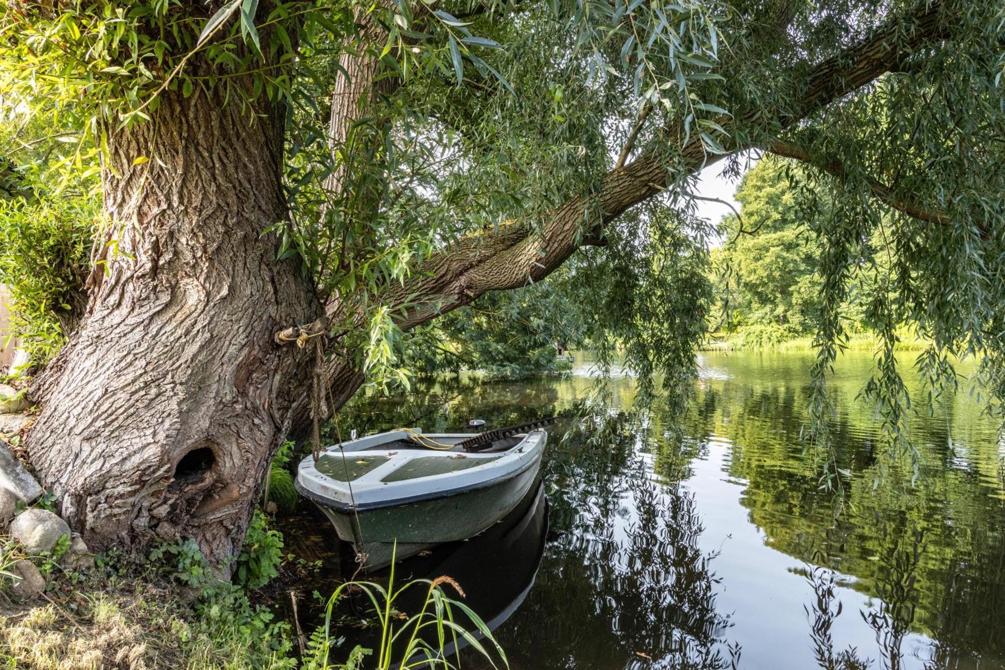 Ferienwohnung Am Parksee بودينْتّيْش المظهر الخارجي الصورة